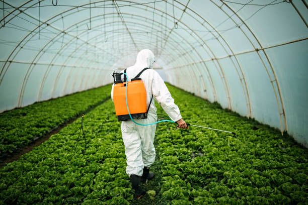 Best Pest Inspection Near Me  in Tomahawk, WI