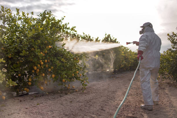 Best Residential Pest Control  in Tomahawk, WI