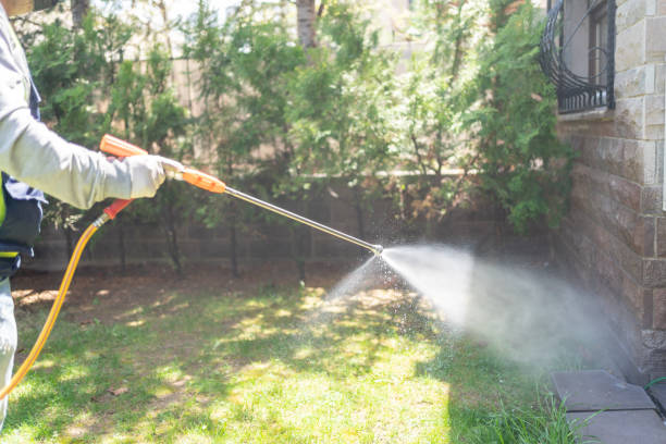 Best Affordable Pest Control Services  in Tomahawk, WI