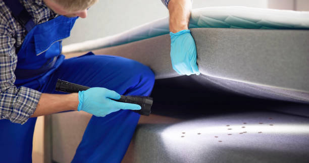 Best Pest Control Near Me  in Tomahawk, WI